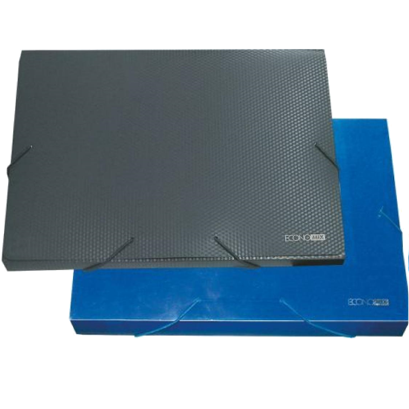 Папка на гумках ECONOMIX (E31601-99)